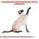 Роял Канін (ROYAL CANIN SIAMESE ADULT) Корм для дорослих котів породи Сіамська 400г 2551004 фото 4