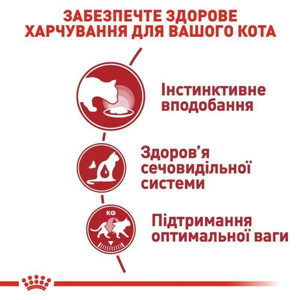 Роял Канін (ROYAL CANIN INSTINCTIVE IN GRAVY) Вологий корм для&nbsp;дорослих котів шматочки в соусі 85г 40590010 фото