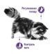 Роял Канін (ROYAL CANIN APPETITE CONTROL CARE) Корм для стерилізованих схильних до набору зайвої ваги котів 2кг 25630209 фото 2