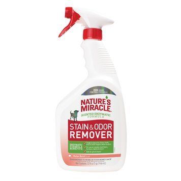 Спрей 8in1 NM Dog Stain&Odor Remover Spray Melon для усунення плям та запахів, з ароматом дині, 946 мл 018065969668 фото