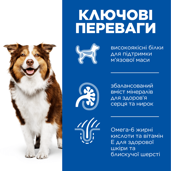 Hill&rsquo;s SCIENCE PLAN Mature Adult 7+ Medium Breed Сухий корм для зрілих собак середніх порід від 7 років, з ягням і рисом, 2,5 кг 604287 фото