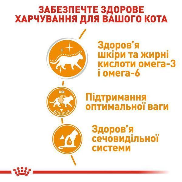 Роял Канін (ROYAL CANIN INTENSE BEAUTY IN GRAVY) Вологий корм для підтримки краси шерсті&nbsp;дорослих котів шматочки в соусі 85г 40710010 фото