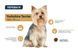 Advance Dog Yorkshire для Йоркширських тер'єрів з куркою та рисом (1,5 кг) 523210 фото 5