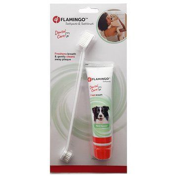 Flamingo Petcare Toothpaste + Toothbrush ФЛАМІНГО ЗУБНА ПАСТА ТА ЗУБНА ЩІТКА для собак, набір 510955 фото