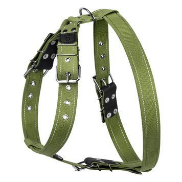 Шлея бавовняна тасьма CoLLaR Брезент для великих собак №1 (ширина 35мм, А:62-86см, В:78-90см) 0645 фото