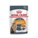 Роял Канін (ROYAL CANIN INTENSE BEAUTY IN JELLY) Вологий корм для підтримки краси шерсті&nbsp;дорослих котів шматочки в желе 85г 41510010 фото 1