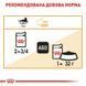 Роял Канін (ROYAL CANIN INTENSE BEAUTY IN JELLY) Вологий корм для підтримки краси шерсті&nbsp;дорослих котів шматочки в желе 85г 41510010 фото 4