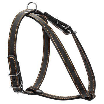 Шлея "CoLLaR" одинарна для малих порід собак (ширина 14мм, А:40-48см, В:43-51см) чорний 06341 фото