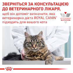 Роял Канін (ROYAL CANIN Diabetic) Діабетик Фелін. Повнораціонний дієтичний корм для котів при цукровому діабеті 85г 40850011 фото