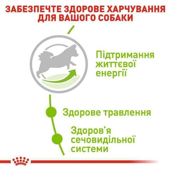 Роял Канін (ROYAL CANIN XSMALL ADULT 8+) Корм для мініатюрних собак старше 8 років 3кг 10040300 фото