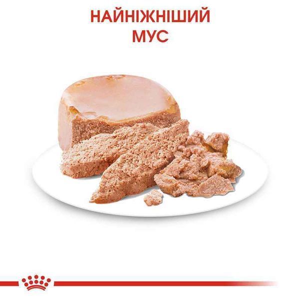 Роял Канін (ROYAL CANIN STARTER MOUSE) Вологий корм для новонароджених собак 195г 4077002 фото