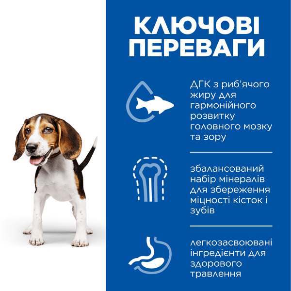 Hill&rsquo;s SCIENCE PLAN Puppy Medium Breed Сухий корм для цуценят середніх порід, з ягням і рисом, 2,5 кг 604270 фото