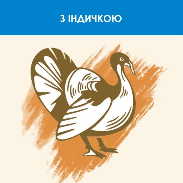 Сухий корм CAT CHOW Feline 3-in-1 для дорослих котів, з формулою потрійної дії, з куркою, 1,5 кг 7613034155139 фото