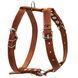 Шлея "CoLLaR" одинарна для середніх собак (ширина 25мм, А:49-68см, В:68-80см) коричневий 06386 фото