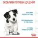 Роял Канін (ROYAL CANIN MINI PUPPY) Корм для цуценят міні порід 800г 30000082 фото 3