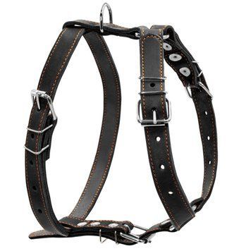 Шлея "CoLLaR" одинарна для середніх собак (ширина 25мм, А:49-68см, В:68-80см) чорний 06381 фото